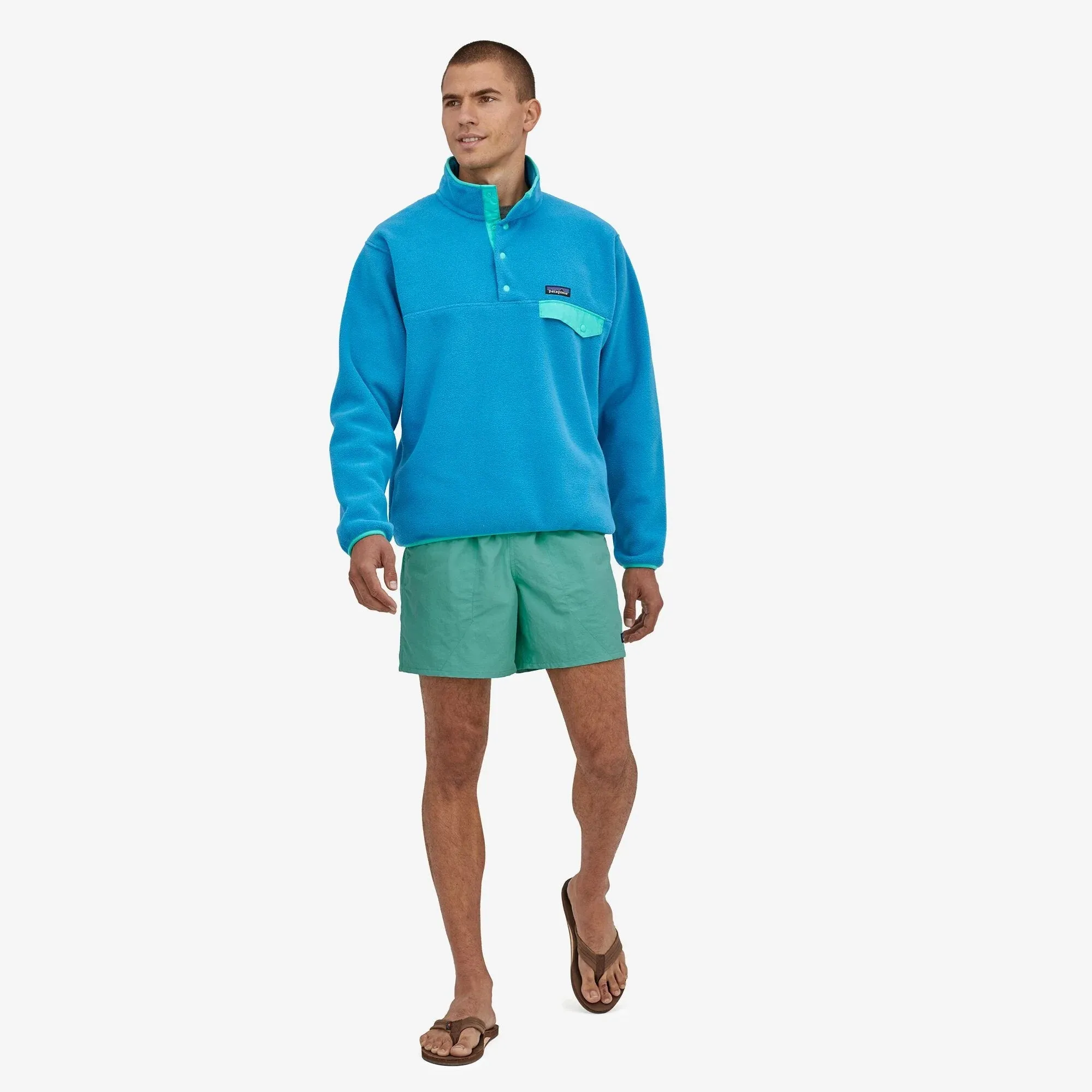 Patagonia Baggies 5’’ Shorts